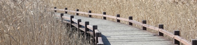 Boardwalk image
